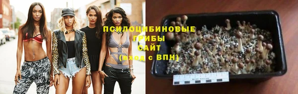 гидра Верея