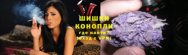 гидра Верея