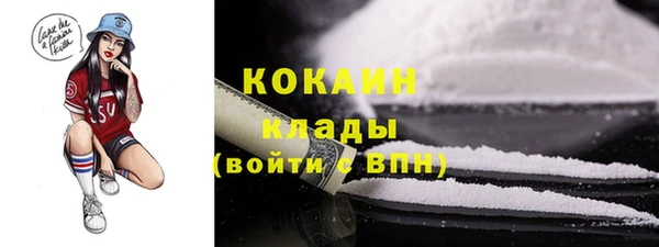 гидра Верея
